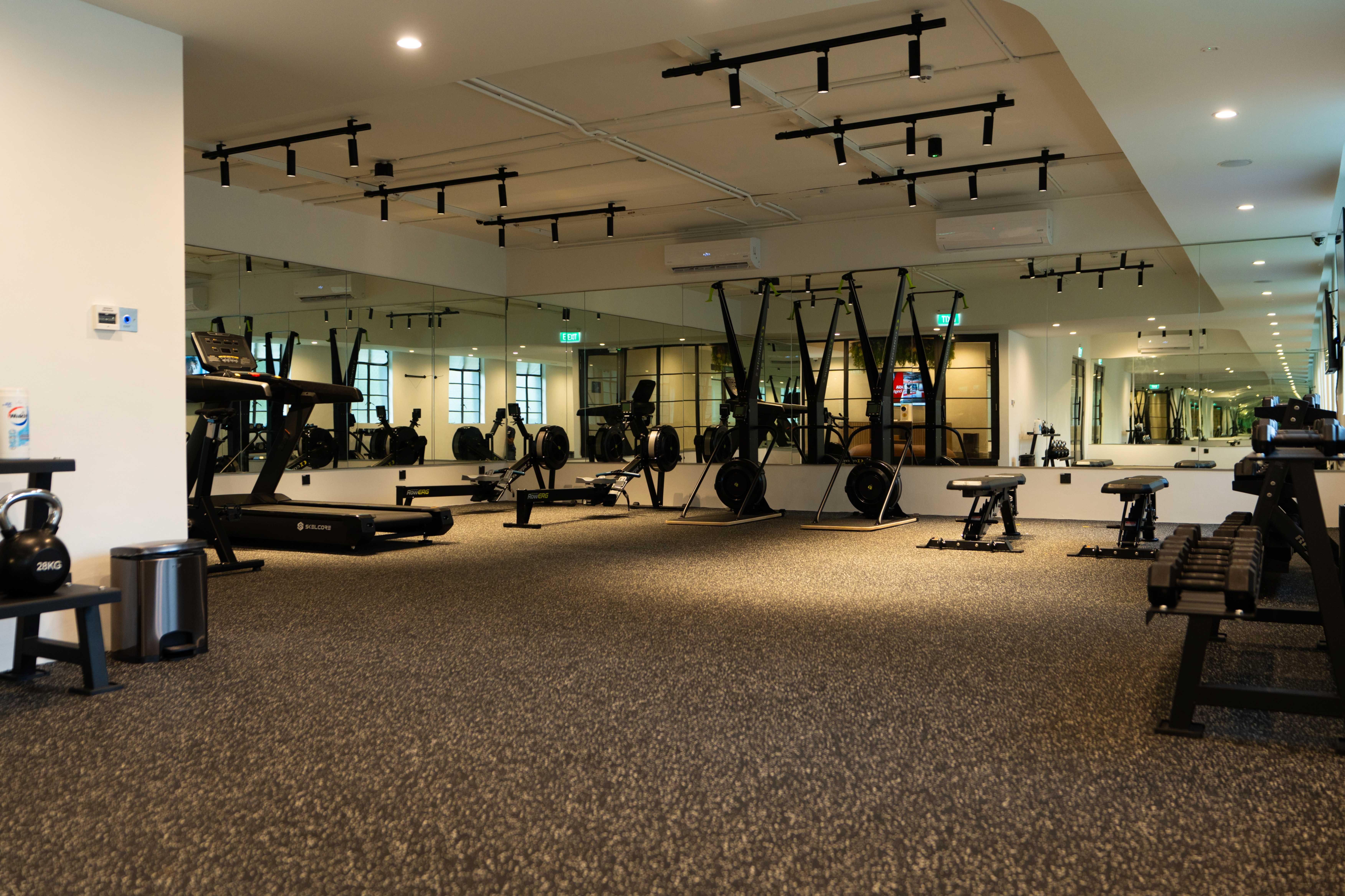 THE WORK-OUT